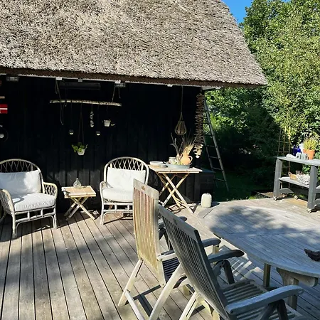 Thatched Roof House Near Boeslum