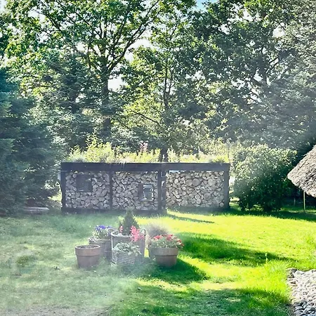Thatched Roof House Near Boeslum Dom wakacyjny *